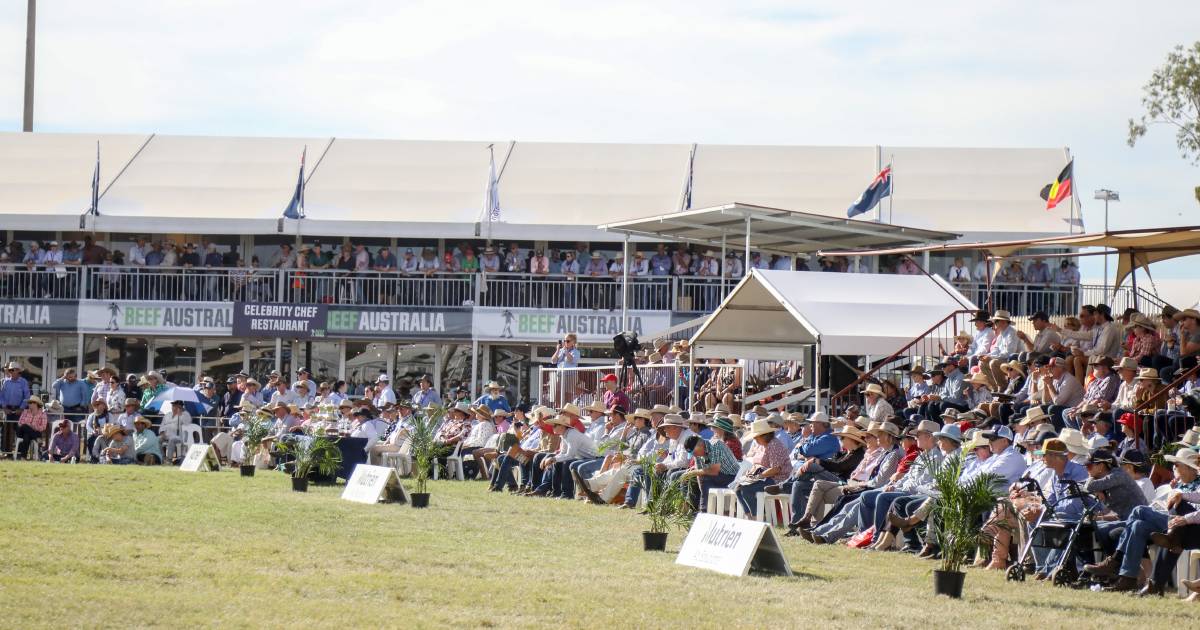 Beef Australia calling on CQ locals to host with Airbnb ahead of record 2024 event