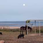 New outback rail adventure underway in Longreach