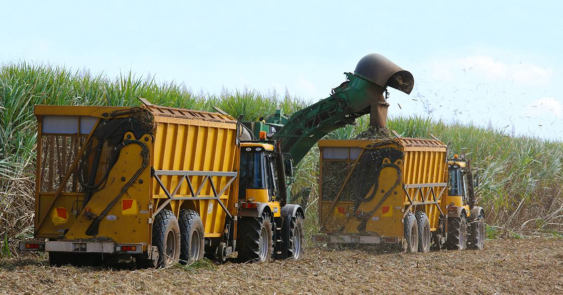 North Queensland cane crush fires up with a bumper harvest on the cards