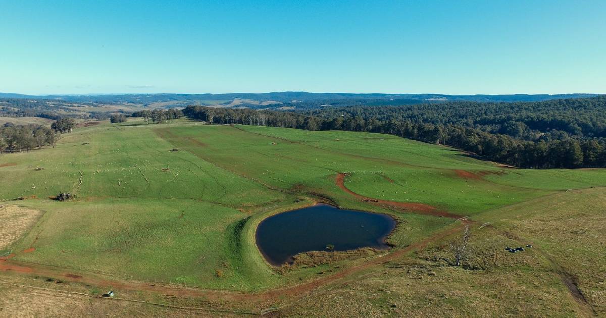 High rainfall country for 750 breeders asking $16.5m | Video