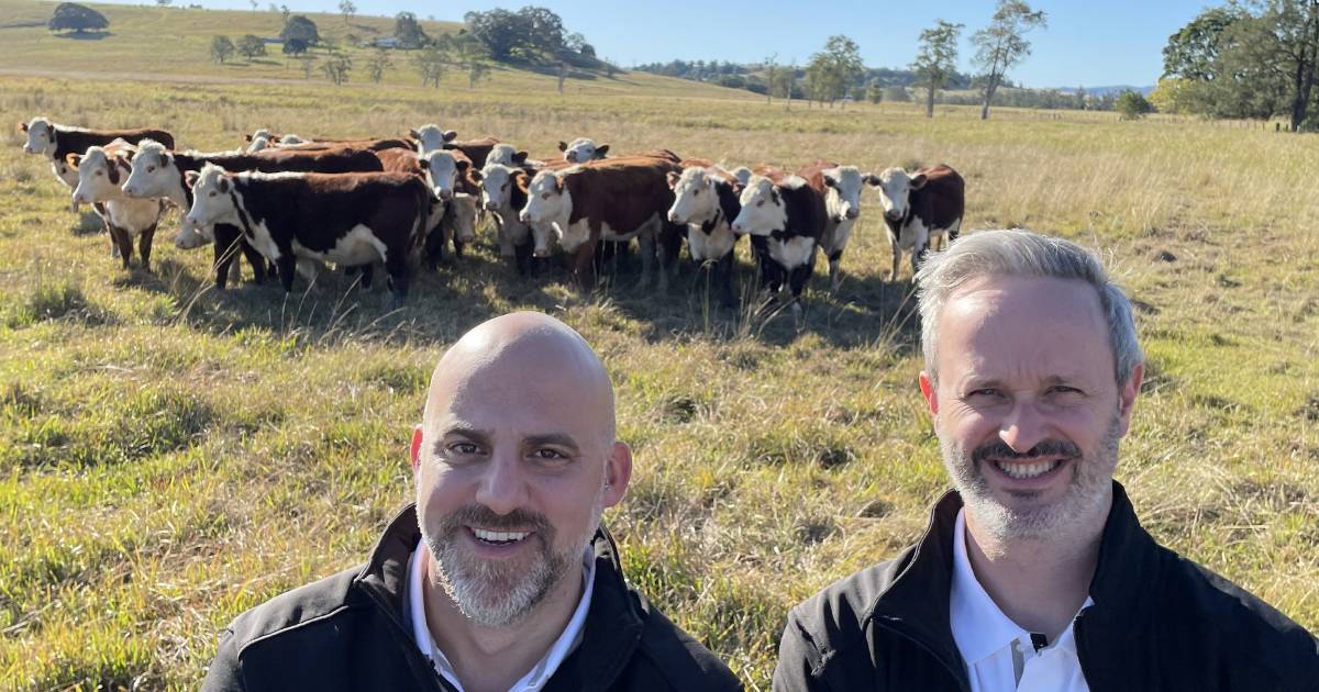 Top UK chefs tour Aussie beef operations