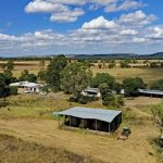 Another great cattle line-up expected at Boyanup