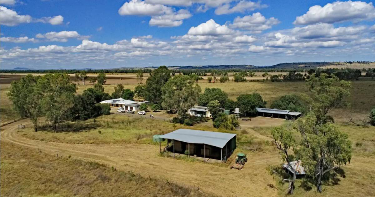 Handy Hillgrove sold under the hammer | Video