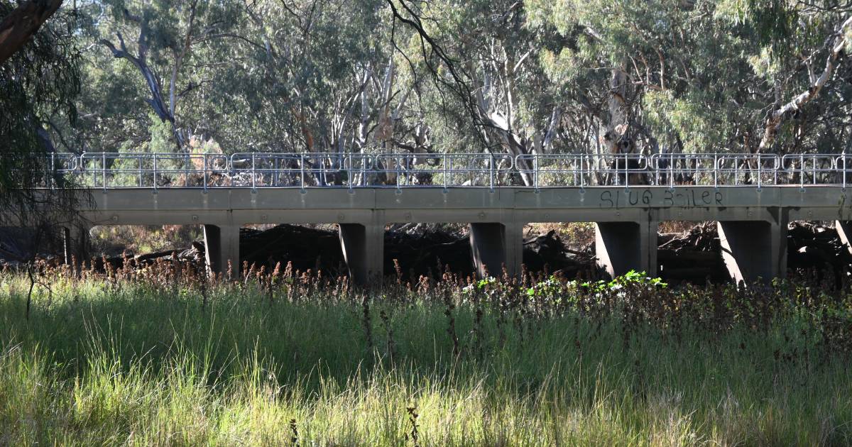 NSW Farmers calls for comprehensive flood review | The Land