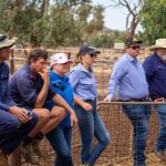 Second day Berridale ewe competition| Photos