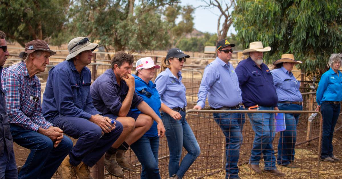 Great Northern Rural Supplies' production information day a success