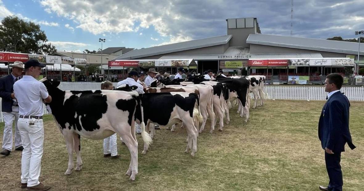 All show volunteers are invited to the annual celebration of ag shows | The Land