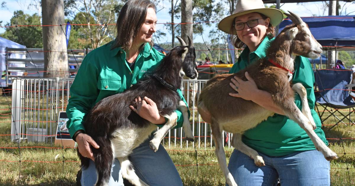 Karissa MacGregor runs a niche agricultural business Hunter Valley Goat Hire | The Land