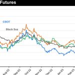 Roma sale 23 May 2023: Numbers lift as pasture declines