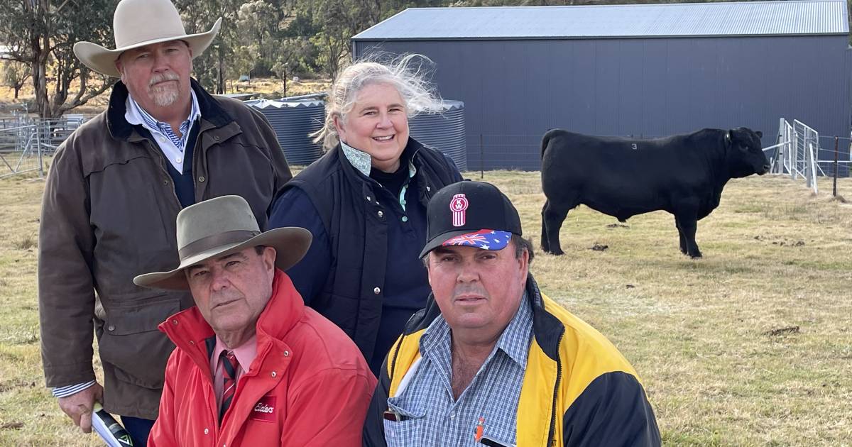 Repeat buyers bid up to $26,000 for top Alumy Creek Angus bulls | The Land