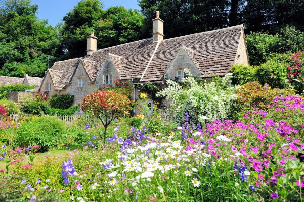 The big hope for the 2023 Chelsea Flower Show? Gardens made for people, not ecosystem engineers