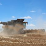 Higher volumes help push prices lower on AuctionsPlus