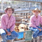 Palgrove achieve total clearance at Hunter Valley bull sale. | The Land