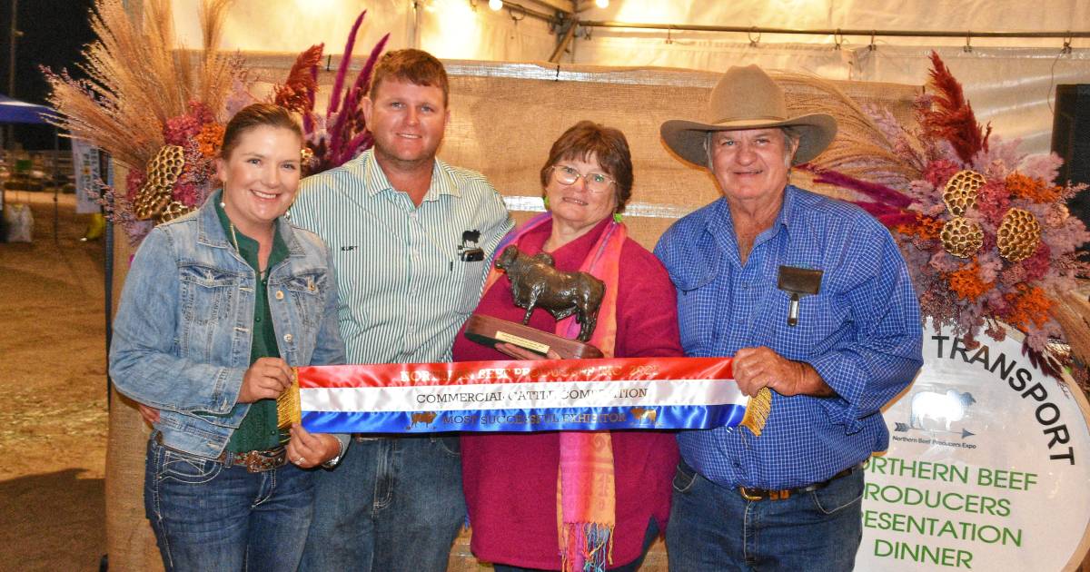 Northern Beef Producers Expo commercial cattle 2023 competition results | Gallery | Queensland Country Life