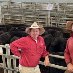 Rancher to pay $1 million penalty for phantom cattle scheme