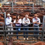 Henty Machinery Field Days pioneer Milton Taylor passes on at 96