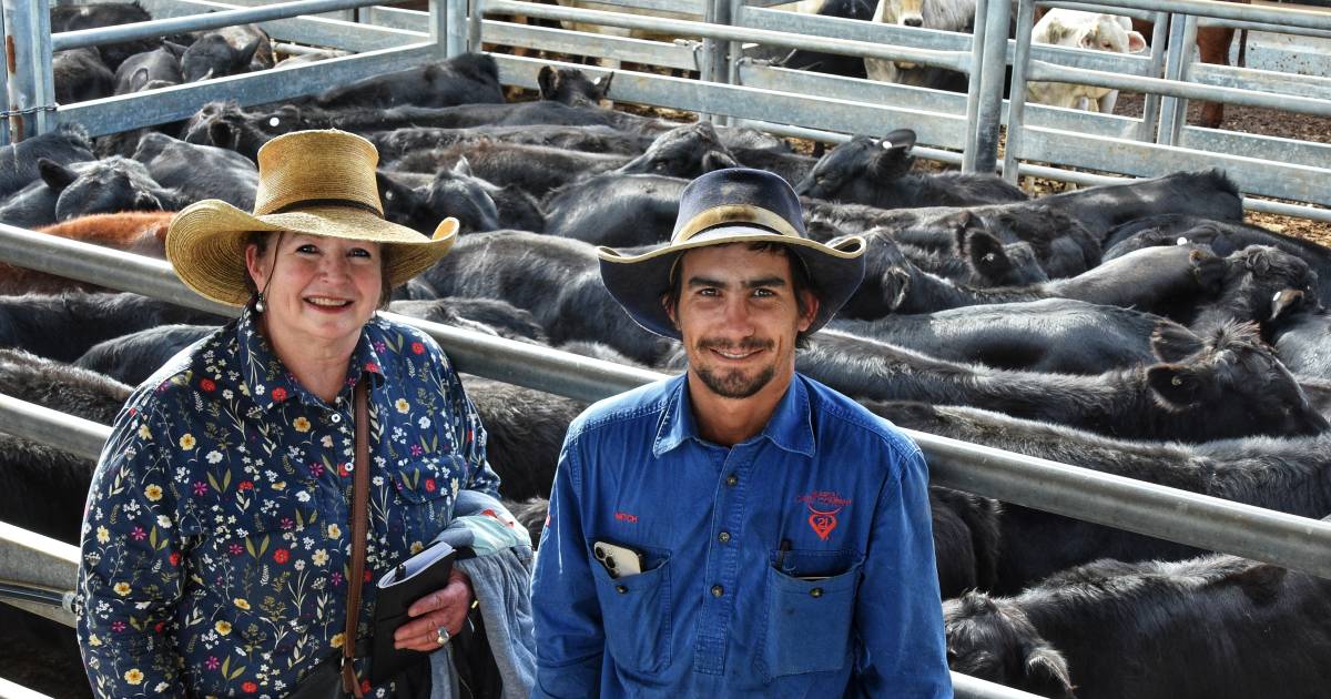 EU accredited Brangus weaners fetch a premium price at central Queensland weaner and feeder sales | Queensland Country Life