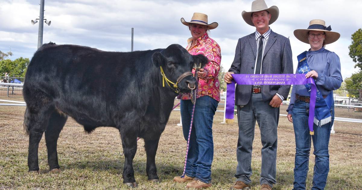 Emerald Show 2023 stud cattle and led steer judging competition results | Queensland Country Life