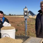 InterGrain barley up in Neo lights