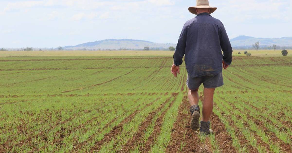 Uni researchers to study farmers living with pain