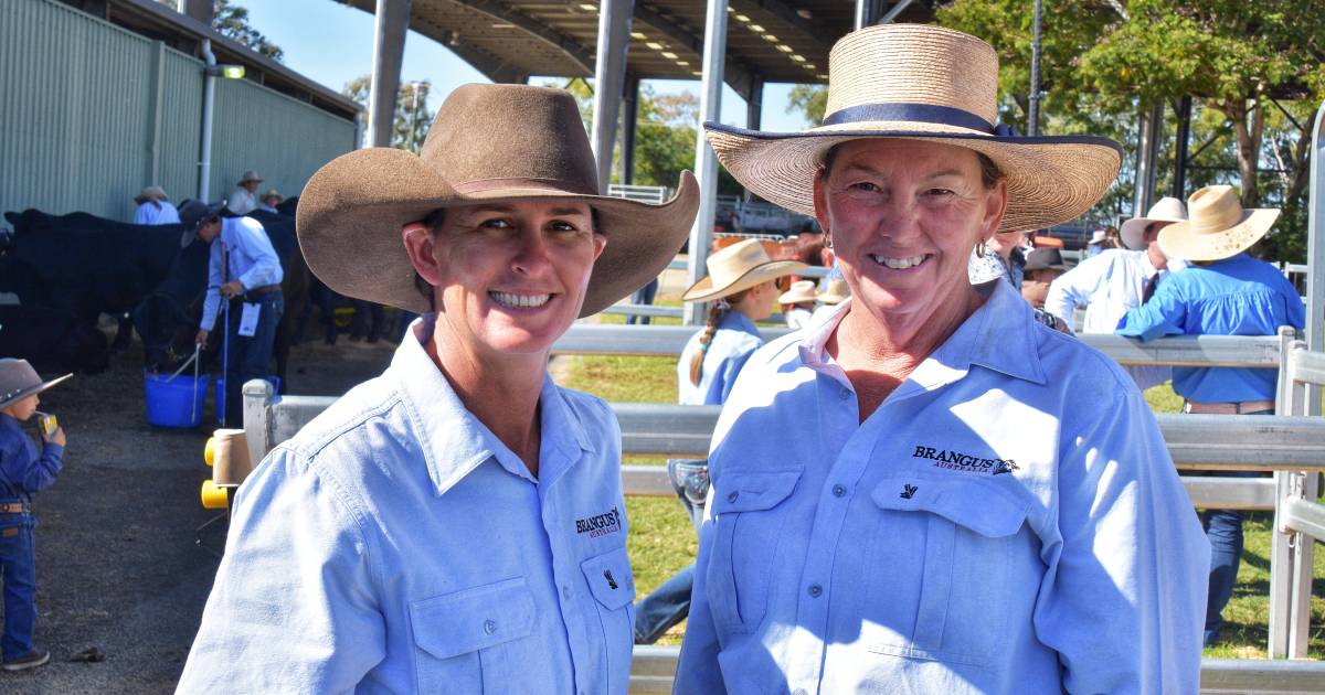 Faces in and around the stud judging ring at the Rockhampton Show | Gallery