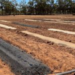 Change transpires from adversity as Australian Farmers of the Year rebuild from floods