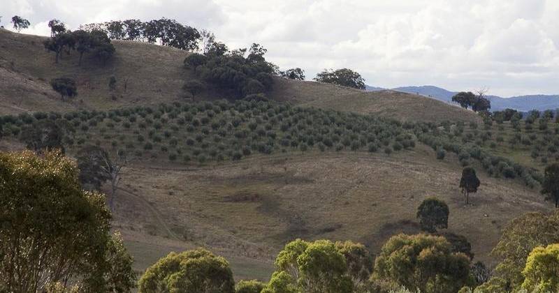 Earthquake hits the Southern Tablelands overnight