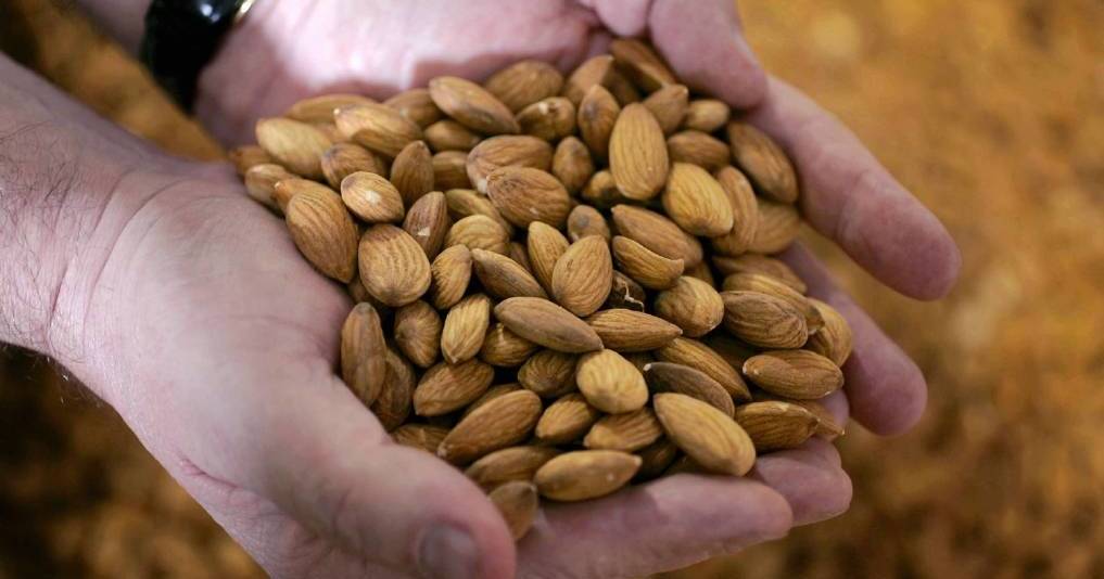 Aussie almond industry eyes global expansion with massive export investment | The Land