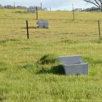 Grassed up cattle country up for grabs