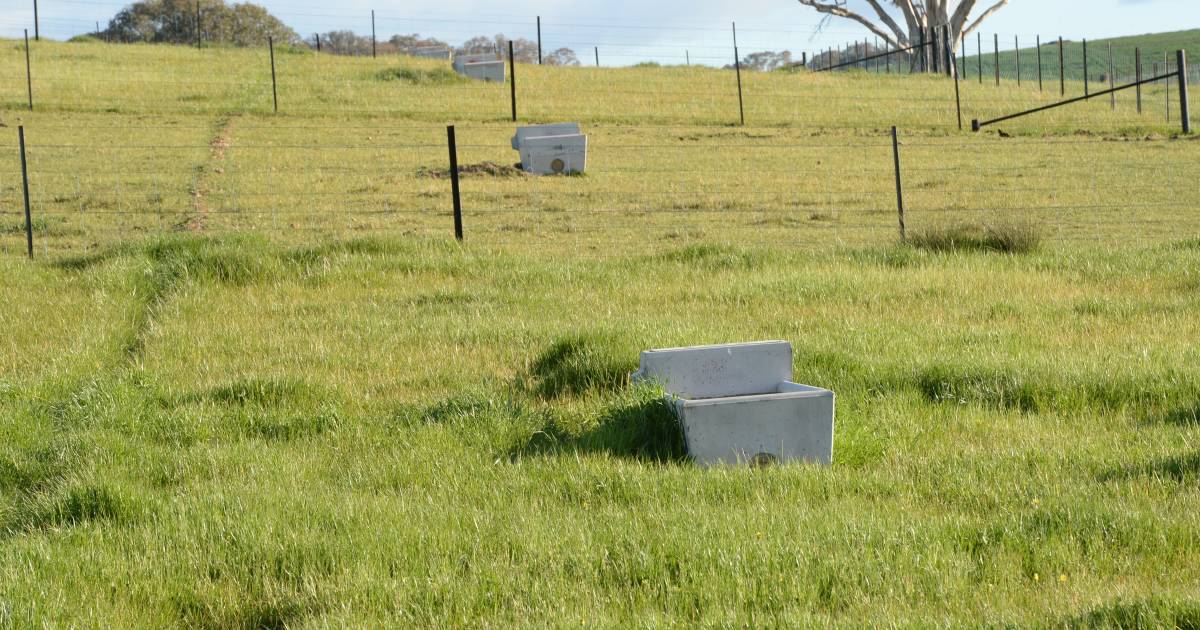 Decide and Thrive drought preparedness project shows NSW trends | The Land