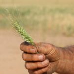 Poem weaves outback woman's struggle into winning words