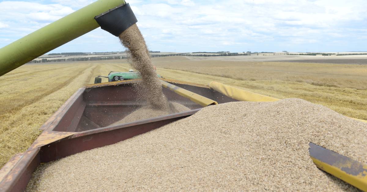 WA grain on-hand for nervous east coast users | Farm Weekly