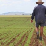 George Houen, graingrower lobbyist and landholder advocate, passes | Queensland Country Life