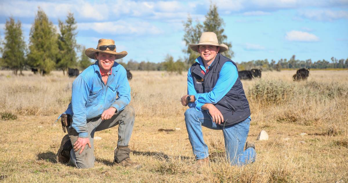 Goondiwindi producers making the most of late-break rainfall this winter