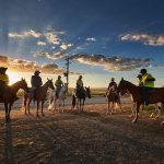 Good competition for feeder steers at Gracemere