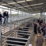 Career day for school students busted myths about working in agriculture: | The Land