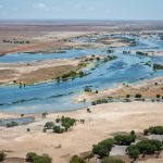 Widespread dry-season rain forecast across Northern pastoral areas