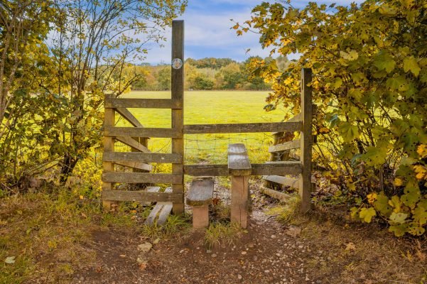 ‘The countryside faces either terrible harm or uplifting good. Which will it be? It really is up to us’