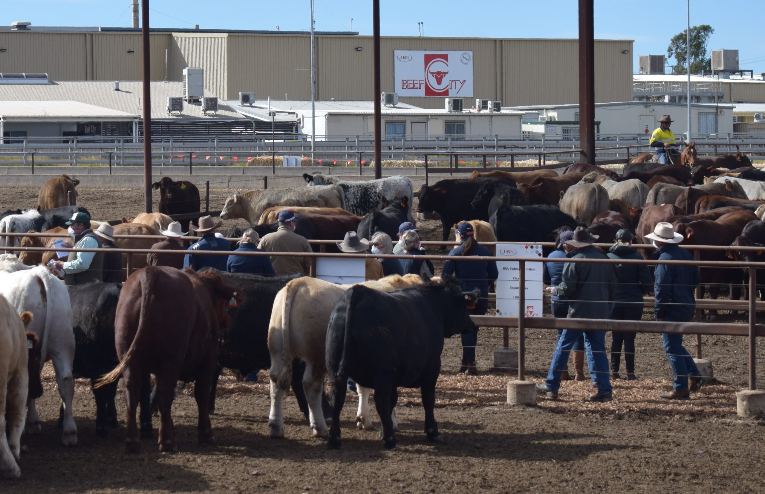 Will recent rain in the US open more beef markets for Australia?