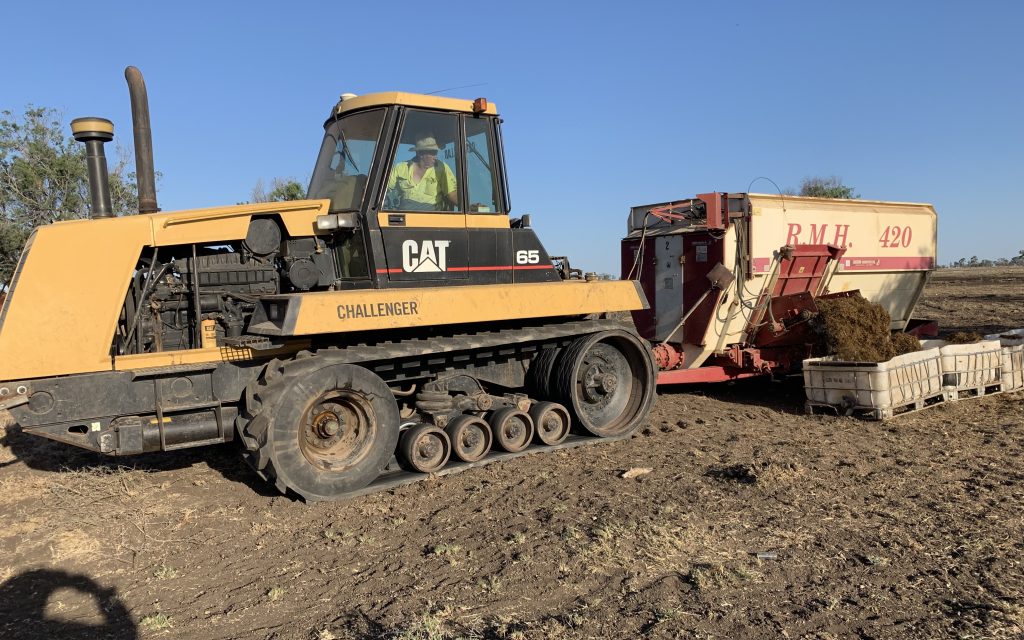 Silage plays valuable seasonal finishing role when northern processors are short of cattle