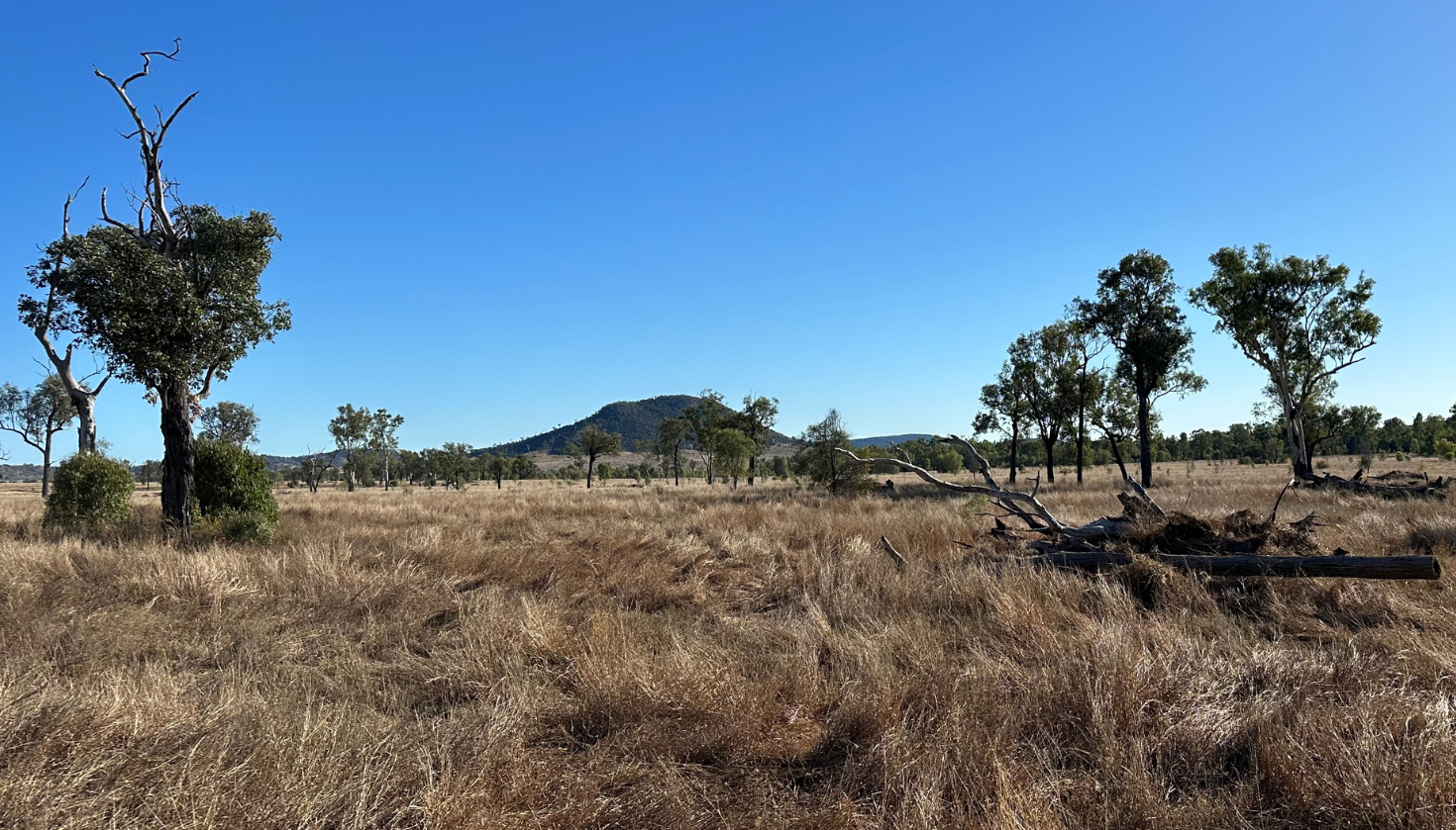 AgriProve puts up three properties for soil carbon research project