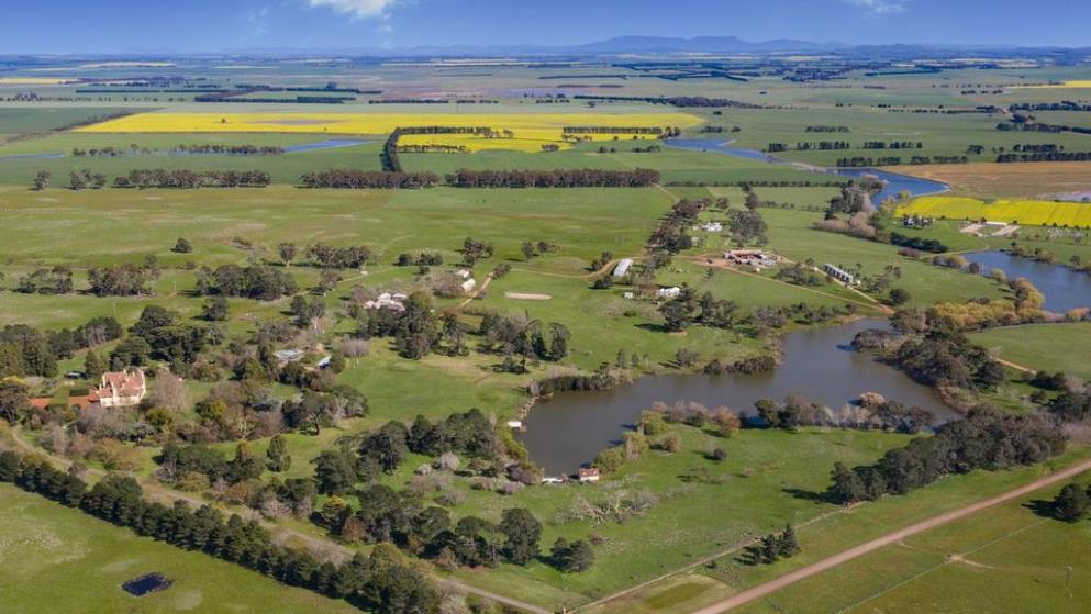 Farmland values set to stabilise in year ahead: NAB report