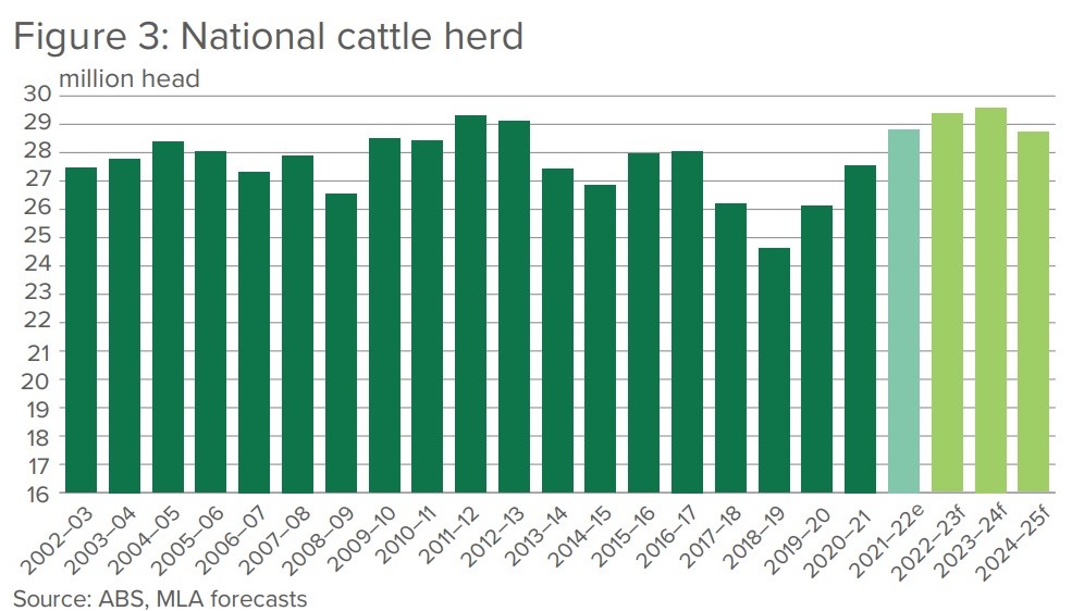 Slaughter numbers, beef production forecast to rise for remainder of 2023