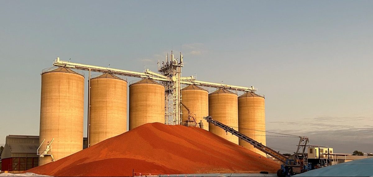 Feedgrain Focus: Markets firm as dry north throttles sales