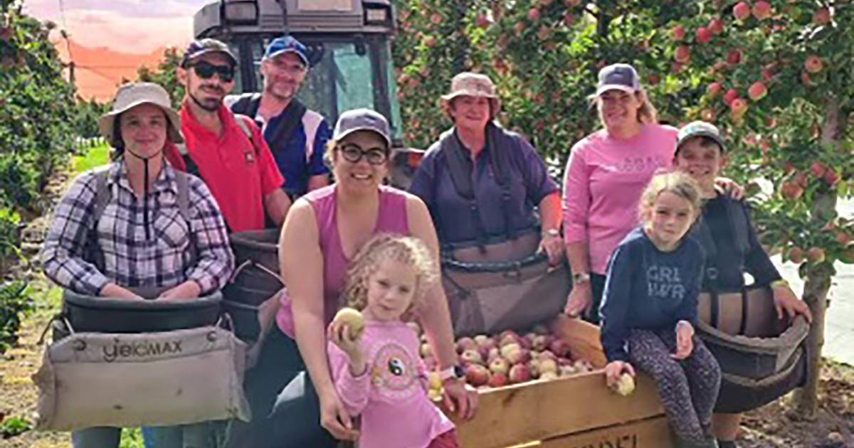 Most people can't drive past the Bunbury Farmers Market – the biggest in WA