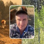 Ten ways to reduce stress on your beef cattle operation