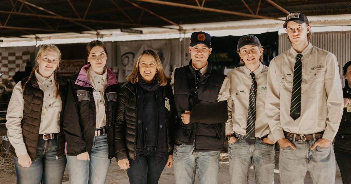 Hay Inc success at the Hay Sheep Show | The Land