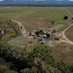 Steers top at 314c, average 253c at Emerald | Queensland Country Life