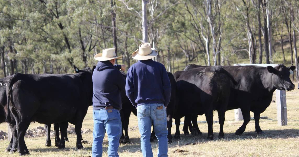 Northern Beef Week has finished for another year | The Land