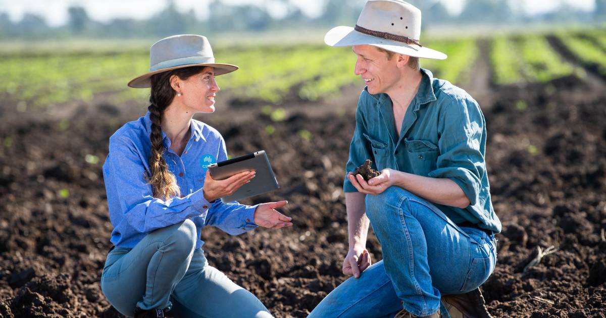 CSIRO streamlines access to soil data with ANSIS | Farm Weekly